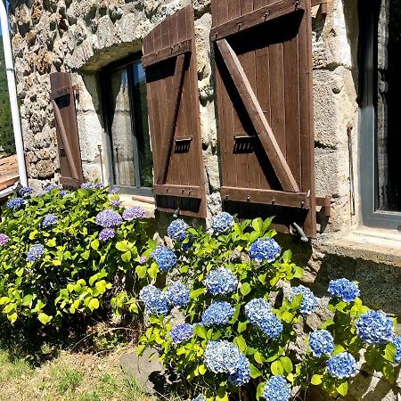 Gîte des Sausses dans une nature préservée Burzet Exterior foto