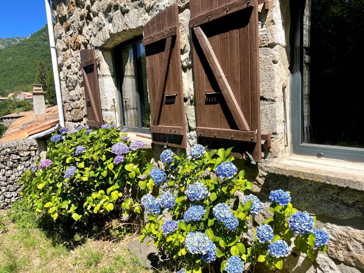 Gîte des Sausses dans une nature préservée Burzet Exterior foto