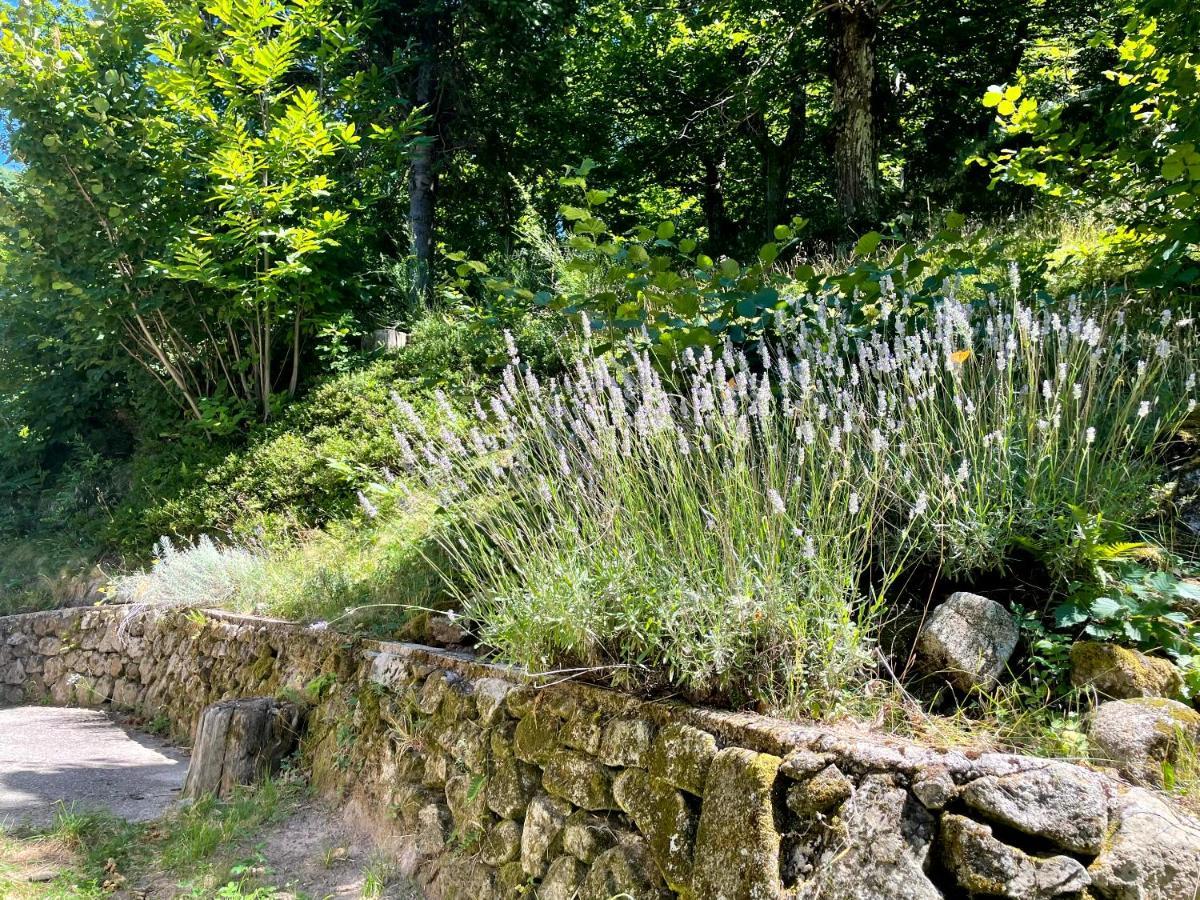 Gîte des Sausses dans une nature préservée Burzet Exterior foto