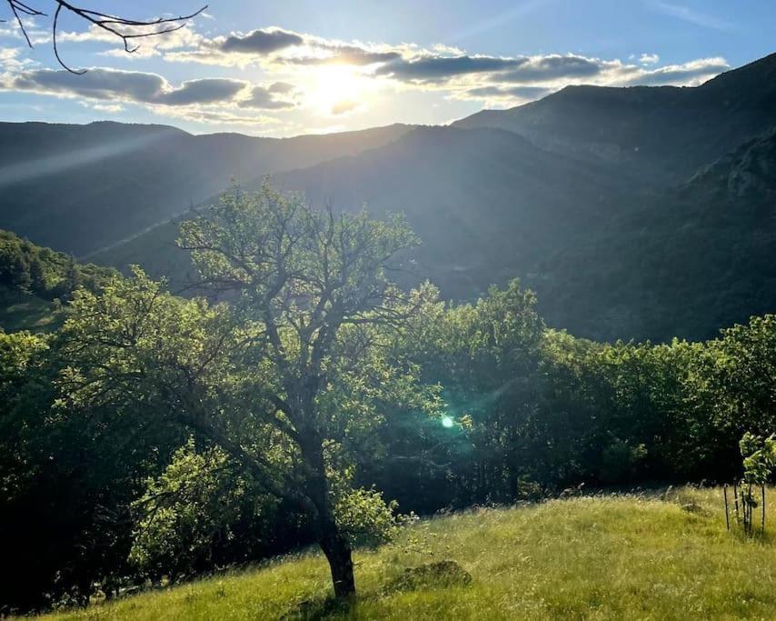 Gîte des Sausses dans une nature préservée Burzet Exterior foto